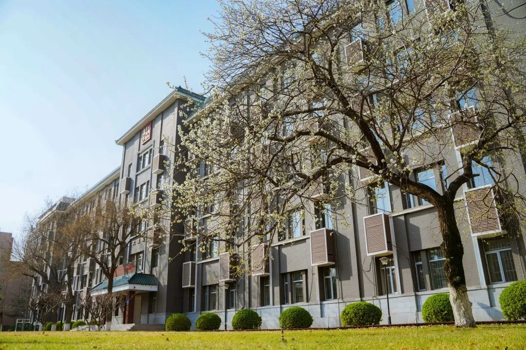 孩子学口才有用吗：表达训练真正提升的能力有哪些